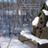 winter-bird-house